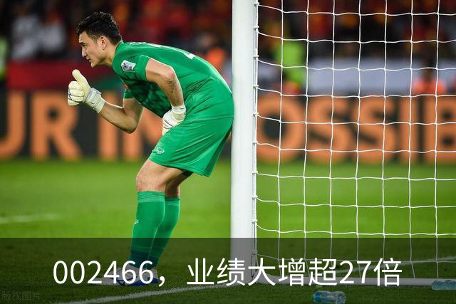 002466，业绩大增超27倍